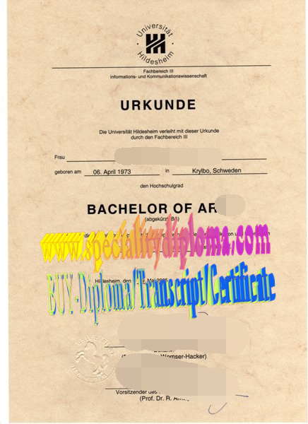 Buy Universitat Hildesheim Diploma Online