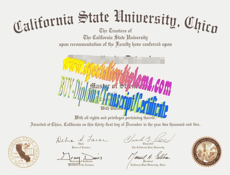 Fake California state University chico Diploma Certificate