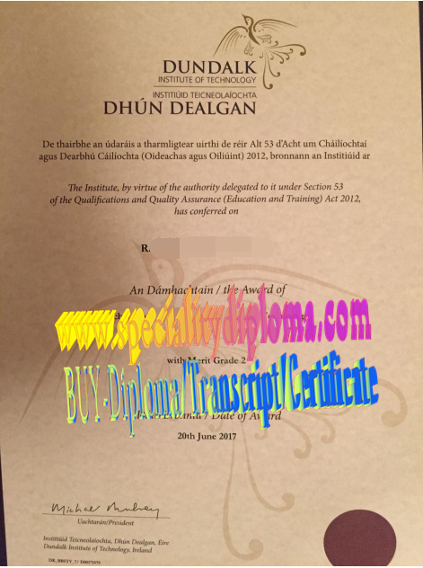 Fake Dundalk Institute of Technology Diploma Certificate