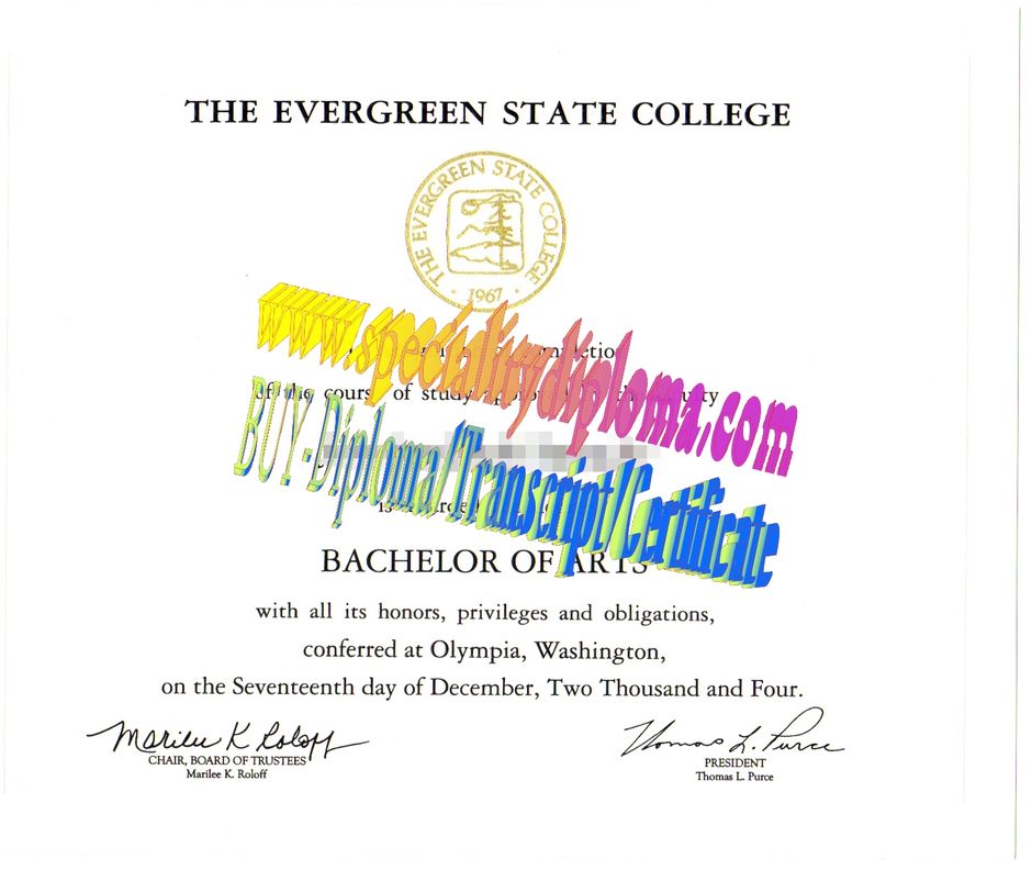 Fake Evergreen State College Diploma Certificate