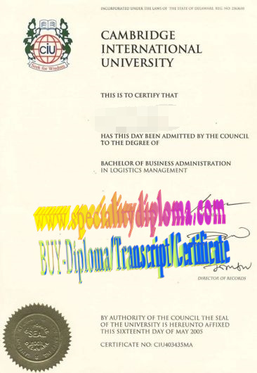 Fake Fake Cambridge International University Diploma Transcript Transcript