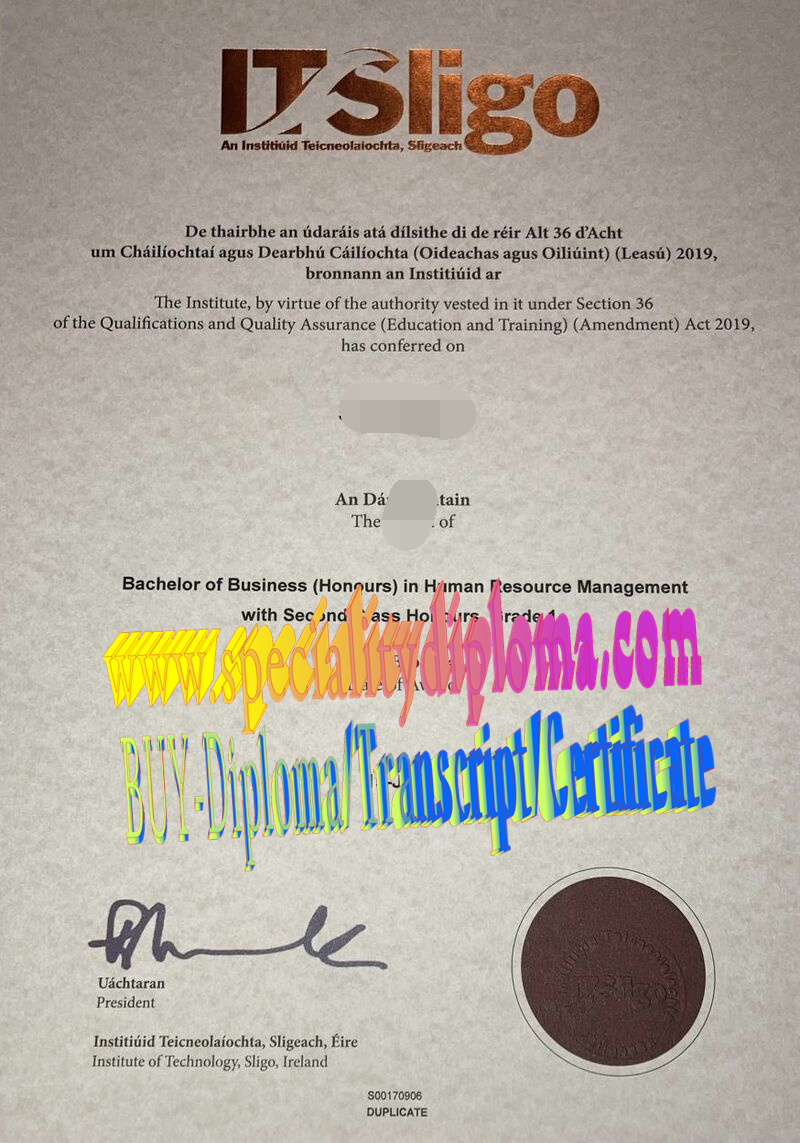 Fake Institute of Technology, Sligo Diploma Certificate