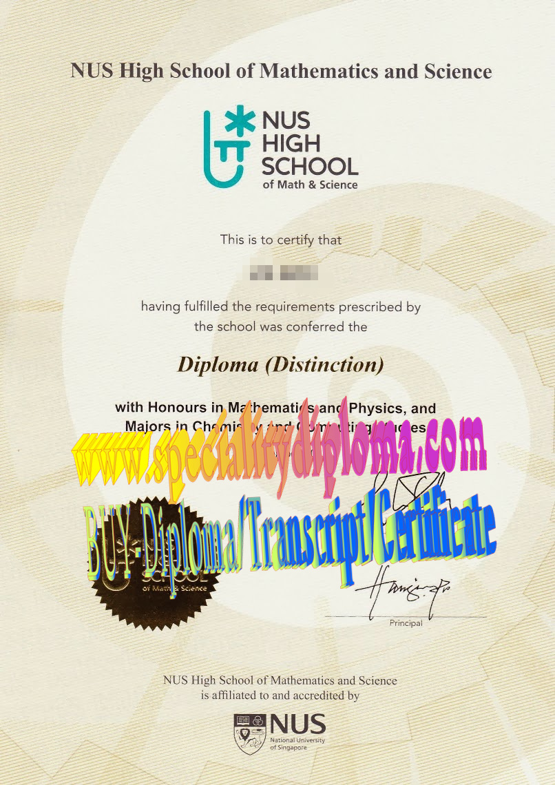 Fake NUS High School of Math and Science Diploma