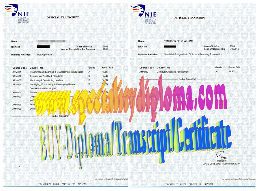 Fake National Institute of Education Diploma