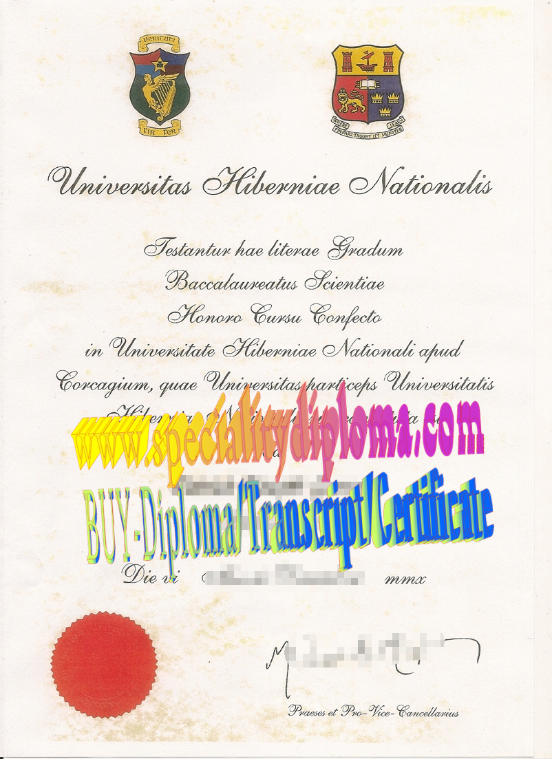 Fake National University of Ireland Diploma Certificate