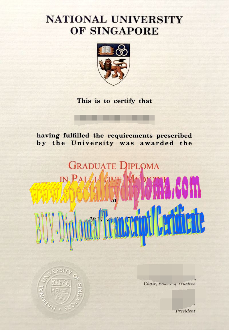 Fake National University of Singapore Diploma