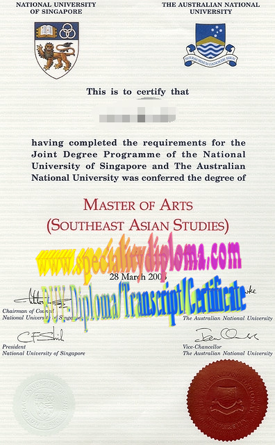 Fake National University of Singapore and Australian National University Diploma