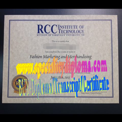 Fake RCC Institute of Technology Diploma Makers